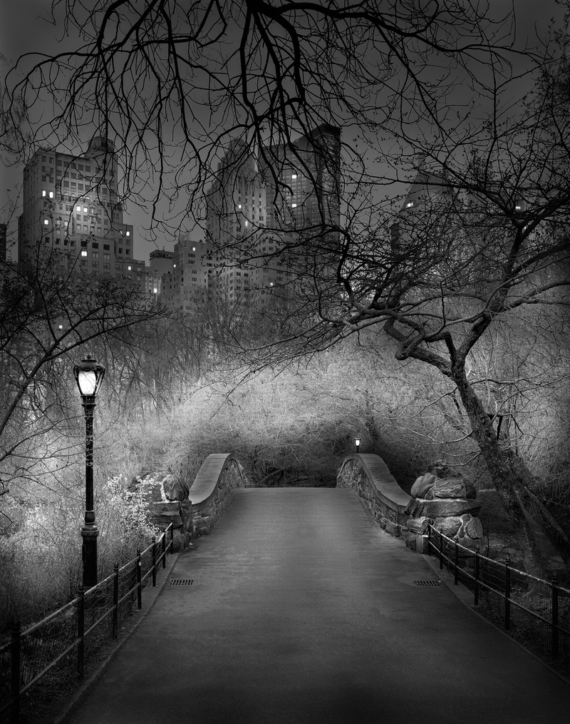 Illustration for article titled New York's Central Park never looked so beautiful as in these photos